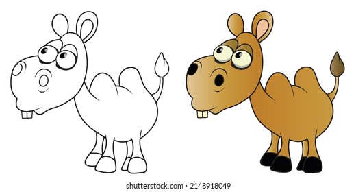 Coloring camel, Vector illustration color and black and white,Cute camel