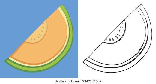 Coloring the cantaloupe fruit. Simple coloring page for kids. Fun activity for kids. Educational printable coloring worksheet. Coloring activity for children. Vector illustration.