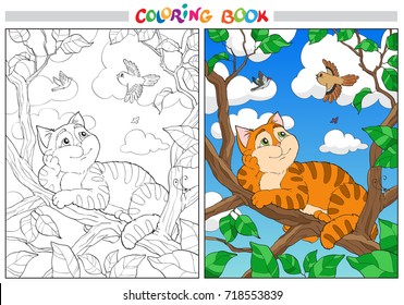 Coloring cartoon cat on a branch and Birds in the sky. For adults vector illustration. Black and white lines