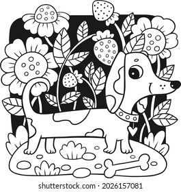 Coloring:  сute cartoon dachshund on a black background of berries and flowers