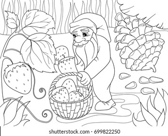 Coloring, cartoon, scene. Dwarf in the forest collects strawberries, berries. Vector illustration of nature