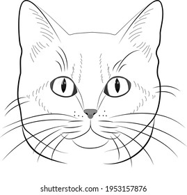 Colorando al gato. Gato dibujado con líneas, para colorear.