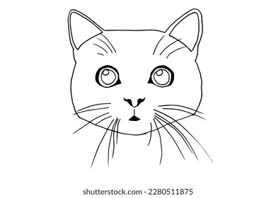 Coloring cat pictures - Outline cats