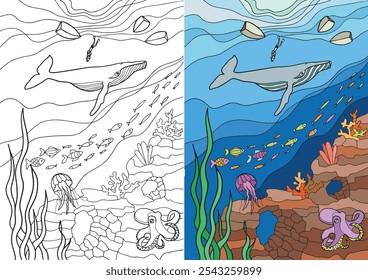 coloring for children and adults whales and sea creatures. Vector in black and white and color version. To create interesting coloring books.