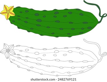Colorante para niños pepino modelado. Tomamos la verdura de pepino de acuerdo con la muestra proporcionada. Pinta el pepino. Colorear para niños enseña verduras. Pepino