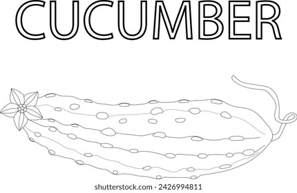 Coloring for children cucumber and the word cucumber on English. We rake the vegetable cucumber and the word cucumber on English.