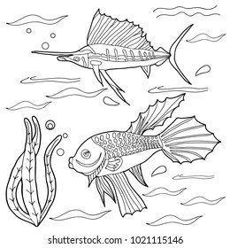 Coloring for children. Sea creatures. Fish.
Hand drawn. Black and white vector illustration.