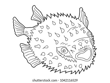 Coloring Children Sea Creatures Fish Wild Stock Vector (Royalty Free ...