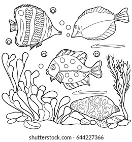 Coloring for children. Sea creatures. Hand drawn. Black and white vector illustration.