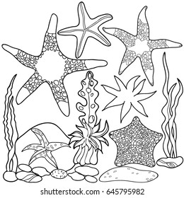 Coloring for children. Sea creatures. Starfish under the sea. Hand drawn. Black and white vector illustration.