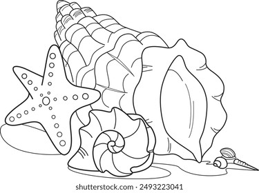 coloring composition seashells summer drawing  