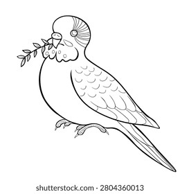 coloring cute budgie vector illustration