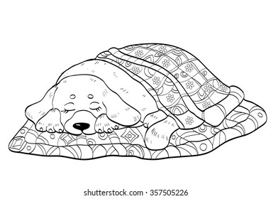 coloring .cute puppy under the blanket 