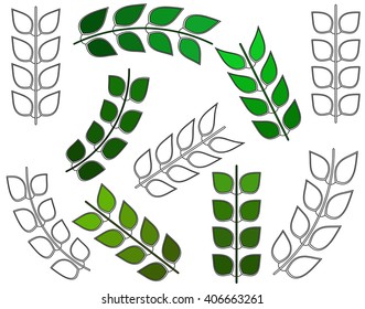 Coloring, different leaves. Zentangle element, black and white, green. Vector eps.10. Isolated