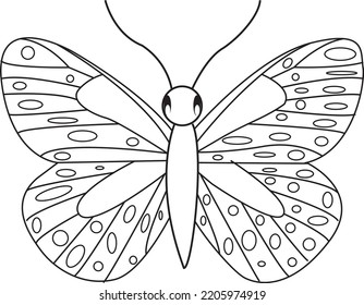 Coloring drawings butterfly drawing black   white vector illustration and thin line black stroke graphic design