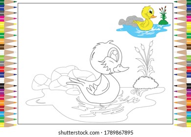 coloring duck animal for kids