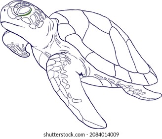 coloring exercises for children or adults