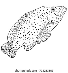 coloring  Fish is grouper spotted vector illustration