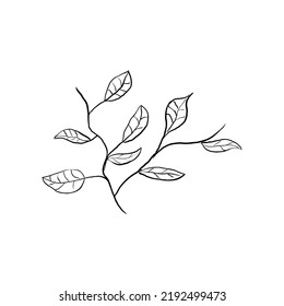 Diseño de flor colorante, vector 10 o Eps10