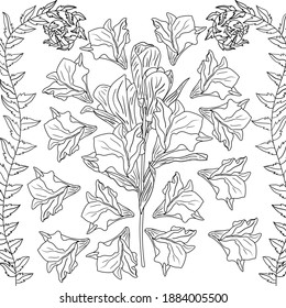 hoja de arte de línea de motivos florales de color
