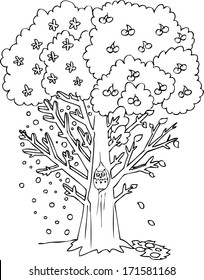 Coloring four seasons tree