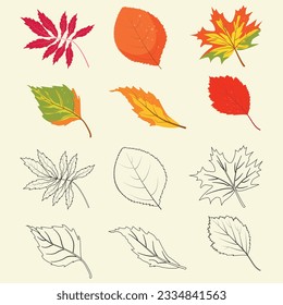 Coloring game for the development of children. Autumn leaf icon set. Vector set of maple, chestnut and hawthorn leaves. Cute autumn falling leaves for coloring.	