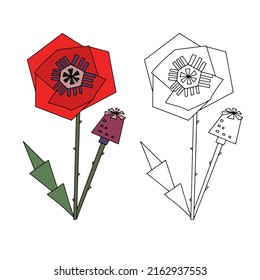 Coloring hand drawn line drawing of a poppy and color poppy for example. Vector natural elements for design
