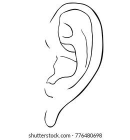 coloring human ear frontal view vector illustration