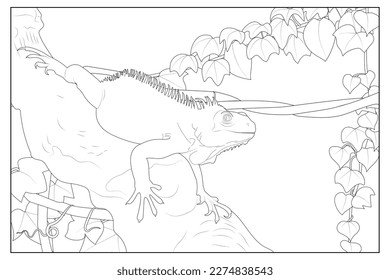 Coloring, iguana on a thick branch, foliage and a vine in the back. Vector graphics. EPS10