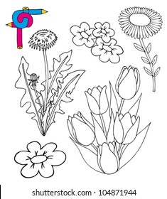 Coloring image flowers - vector illustration.
