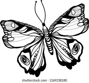 Coloring for kids. Coloring for adults. Black and white decorative image of flying butterfly.Isolated image on a white background.