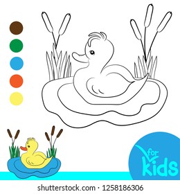 Coloring for kids black and white. Vector illustration. Duckling swims in the pond