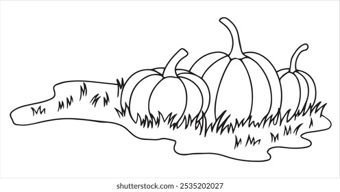 Coloring. Lawn with pumpkins. Vector drawing for Thanksgiving, autumn harvest festival. Drawing in doodle style.