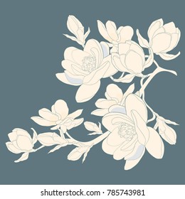 coloring magnolia flower  garden decorative.  vector illustration
