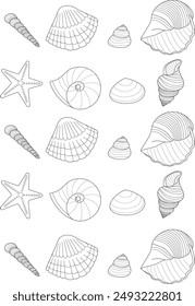 Coloring motifs seashells summer drawing 