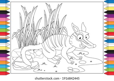 coloring numbat animal cartoon for kids