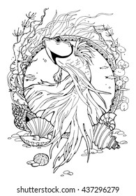 coloring page about Betta fish and different shells