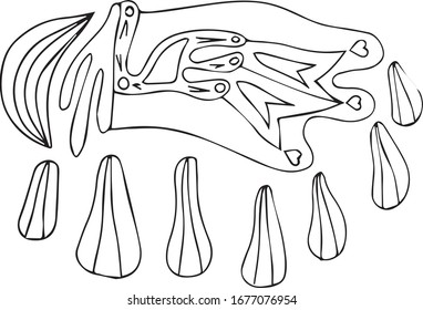 Coloring page of abstract part of the world. Vector art astrology icon