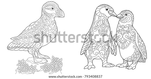 Coloring Page Adult Coloring Book Puffin Stock Vector Royalty Free 793408837