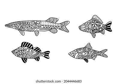 Coloring page for adult colouring book. Underwater world with stingray shoal, tropical fishes and ocean plants. Antistress freehand sketch drawing with doodle and zentangle elements.