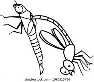Coloring page. Adult Dragonfly in early molting stage