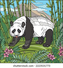 Coloring page for adults. Big panda bear standing in bamboo forest. Color version. Vector illustration.