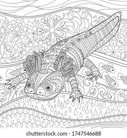 Coloring page for adults with cute axolotl in zentangle style. Anti stress art-therapy for people with dementia or anxiety disorder