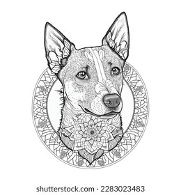 coloring page for adults mandala dog illustration