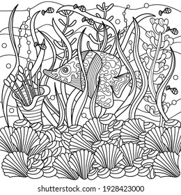 Coloring page for adults , Underwater. Marine vector motif . Doodles of the underwater world, sea, ocean, river . Fish, shells and corals, seaweed and waves. Aquariums.