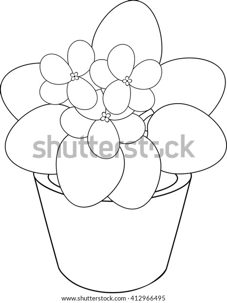 Coloring Page African Violet Flower Pot Stock Vector Royalty Free 412966495