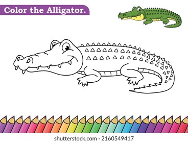 Coloring page for Alligator vector illustration. Kindergarten children Coloring pages activity worksheet with funny big eyes cartoon Alligator. Alligator isolated on white background for color books.