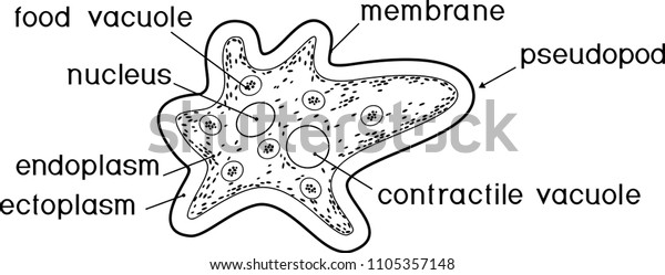 Malvorlage atomkern information