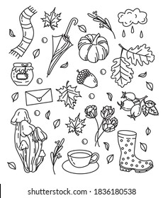 Coloring page antistress autumn. Set: maple leaves, rubber boots, mushrooms, wild rose, tea mug, jam, scarf, umbrella, pumpkin, artichoke. Vector illustration for art therapy, coloring book for adults