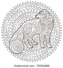 Coloring page with arctic fox for anti stress art therapy. Snow fox for colouring book  in zentangle style. Template for t-shirt, poster or cover. Vector illustration.